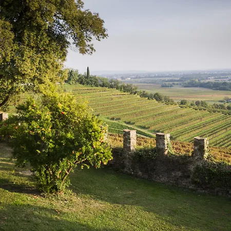 Castello Di Buttrio