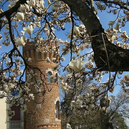 Castello Di Buttrio
